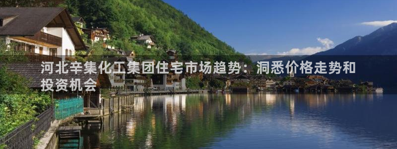 千亿球盟会乐玩：河北辛集化工集团住宅市场趋势：洞悉价格走势和
