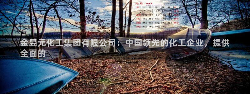 球盟会在线登入：金昱元化工集团有限公司：中国领先的化工企业，