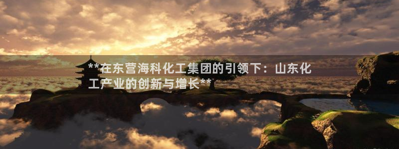 球盟会黑款吗：**在东营海科化工集团的引领下：山东化
工产业