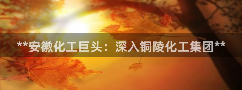 球盟会登陆入口：**安徽化工巨头：深入铜陵化工集团**