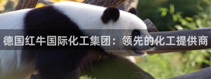 球盟会有没有黑单的球员：德国红牛国际化工集团：领先的化工提供