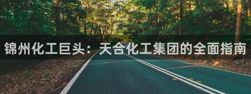 球盟会最新地址备用：锦州化工巨头：天合化工集团的全面指南