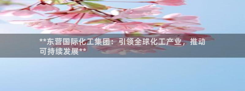 球盟会里面有打牌的嘛：**东营国际化工集团：引领全球化工产业