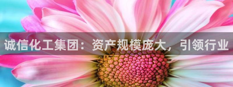 千亿球盟会乐玩：诚信化工集团：资产规模庞大，引领行业