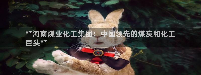 球盟会平台怎么样：**河南煤业化工集团：中国领先的煤炭和化工
