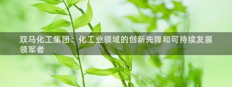 球盟会官方网站app：双马化工集团：化工业领域的创新先锋和可
