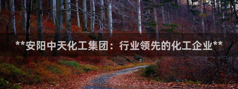 球盟会能退钱吗是真的吗：**安阳中天化工集团：行业领先的化工