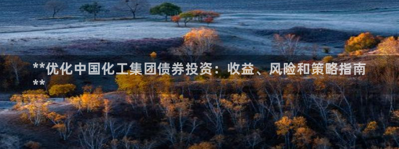 球盟会电子好下吗：**优化中国化工集团债券投资：收益、风险和