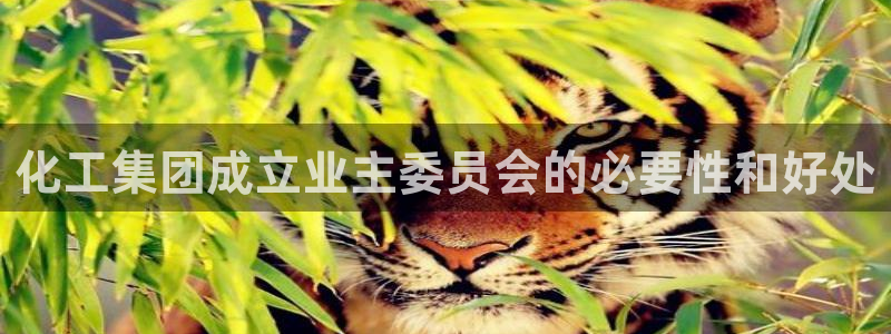 球盟会app网址多少号：化工集团成立业主委员会的必要性和好处