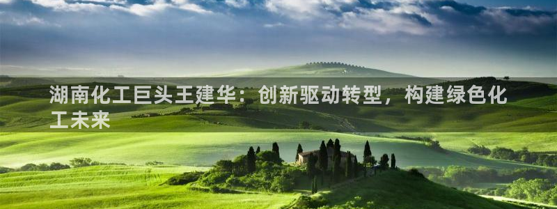球盟会邮箱：湖南化工巨头王建华：创新驱动转型，构建绿色化
工