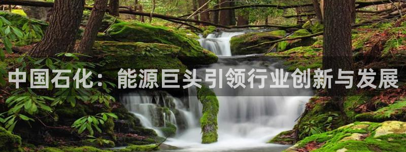 球盟会黑台子：中国石化：能源巨头引领行业创新与发展