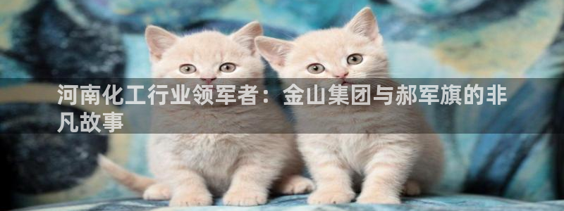球盟会地址：河南化工行业领军者：金山集团与郝军旗的非
凡故事