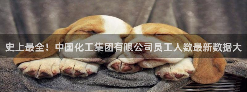球盟会qmh网页版登录：史上最全！中国化工集团有限公司员工人
