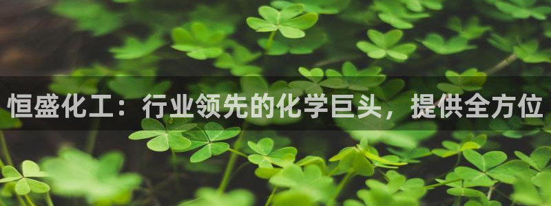 球盟会官网登录入口：恒盛化工：行业领先的化学巨头，提供全方位