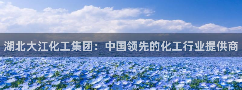 球盟会qmh：湖北大江化工集团：中国领先的化工行业提供商