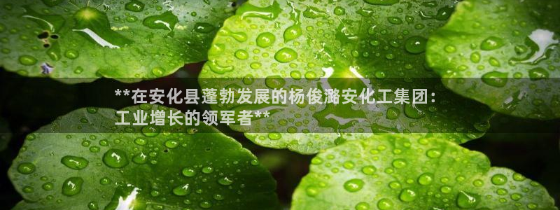 球盟会可以提现么是真的吗：**在安化县蓬勃发展的杨俊潞安化工