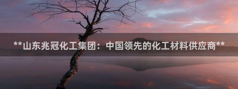 球盟会登录平台入口：**山东兆冠化工集团：中国领先的化工材料