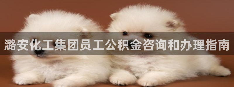 球盟会最新网：潞安化工集团员工公积金咨询和办理指南