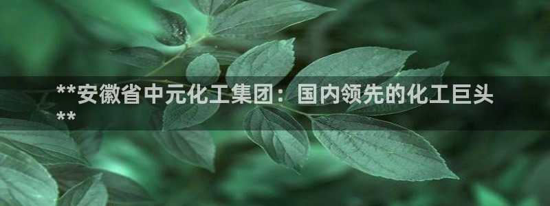 球盟会里面有打牌的嘛知乎：**安徽省中元化工集团：国内领先的