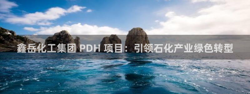 球盟会qm9：鑫岳化工集团 PDH 项目：引领石化产业绿色转