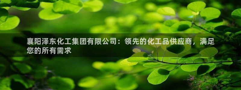 球盟会可以提现么现在：襄阳泽东化工集团有限公司：领先的化工品